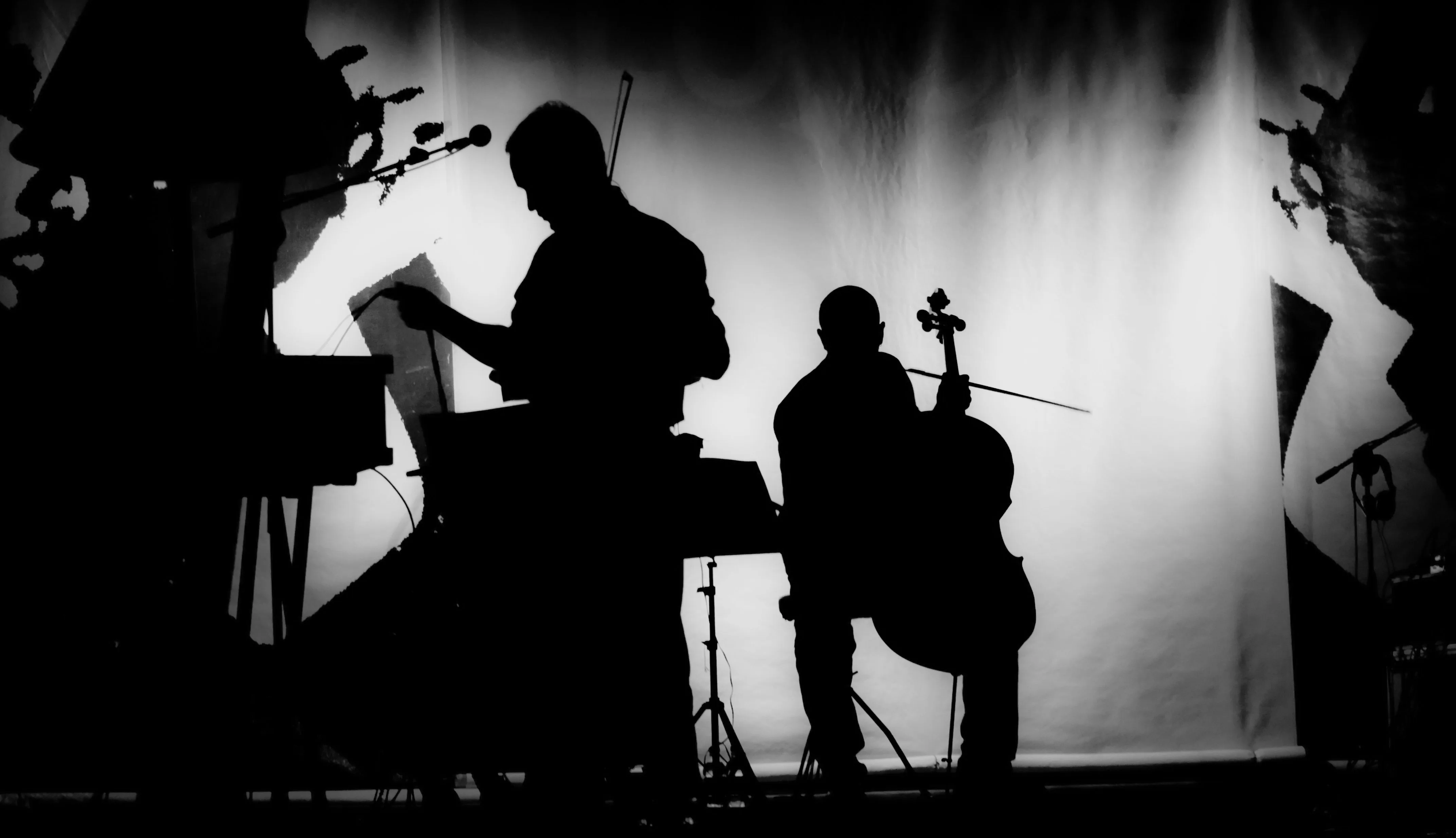 ステージ上で演奏する弦楽器奏者たちのモノクロシルエット